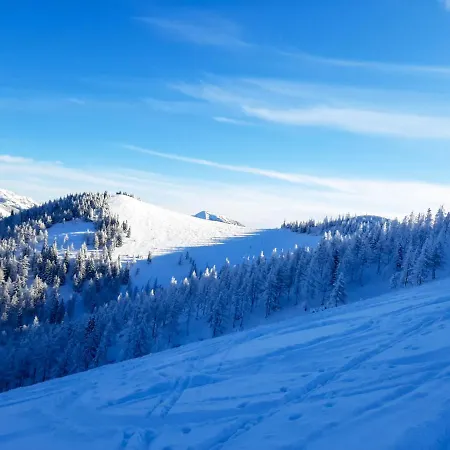 Daire Romantiksuite Bei Seitberger