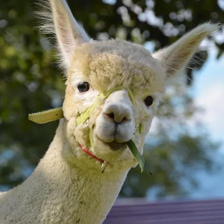 Romantiksuite Bei Seitberger