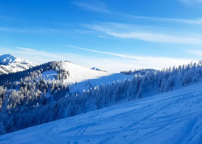 Appartement Romantiksuite Bei Seitberger