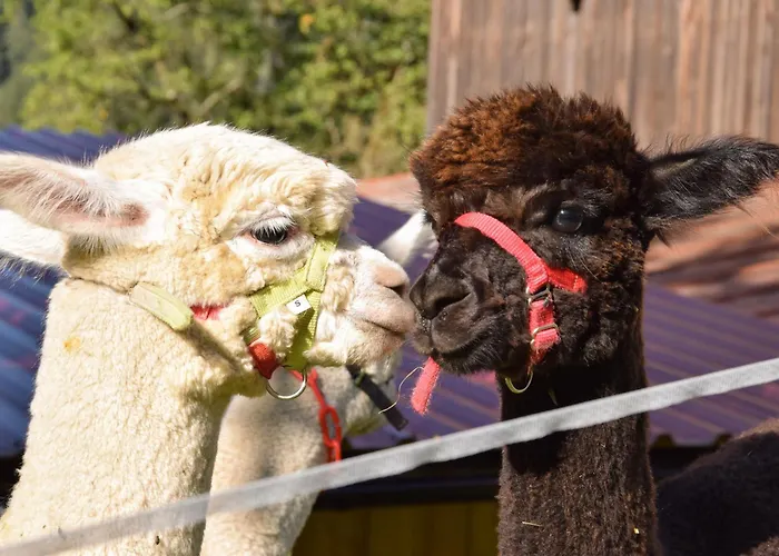 Appartement Romantiksuite Bei Seitberger